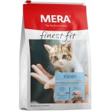 MERA_finestfit_Kitten_Rechtst6IYt2YM7bTfw_18542725-1686-46d7-a7a5-37efb9dcaef1.jpg