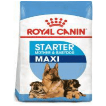ROYAL CANIN MAXI STARTER M&B - 4KG