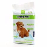 panal-desechable-para-perro-training-pad-10-unds-D_NQ_NP_917077-MCO25648162977_062017-F