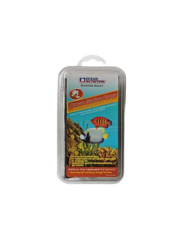 ocean nutrition seaweed brown marine algae