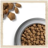 4487629-4487629-07613034487629-C1L1-Dog Chow Adult Medium Chicken 14kg-44004183