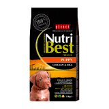 nutribest-dog-puppy