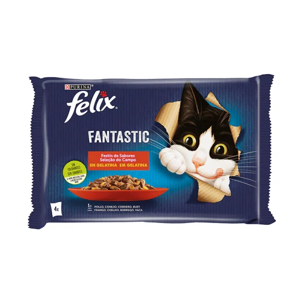 Felix Fantastic Seleccion Sabores Gelatina