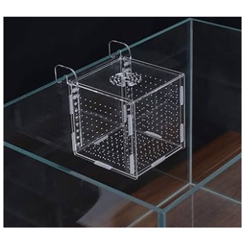 Acrylic Fish breeding 10*10*10