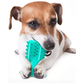 Cactus Dog ToothBrush