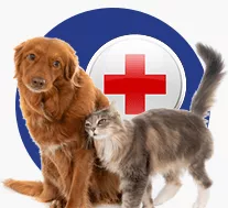 PetsHome Clinic