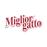 Miglior Gatto