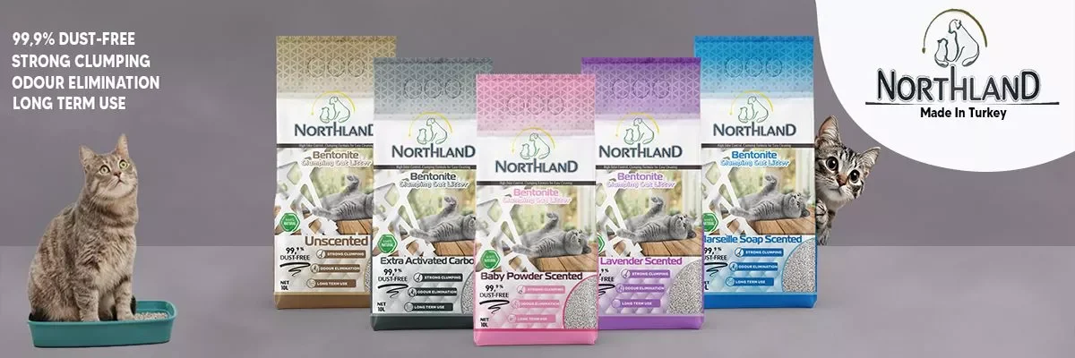 northland banner 1