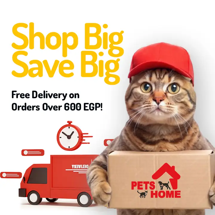 Get Free Delivey on Orders over 600EGP.