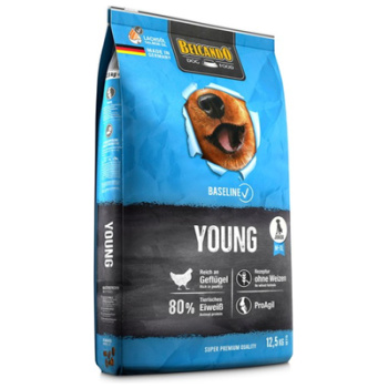 Belcando Baseline Young Dry Food with Poultry in Salmon Oil for Medium to XL Breed Junior Dogs 12.5 KG