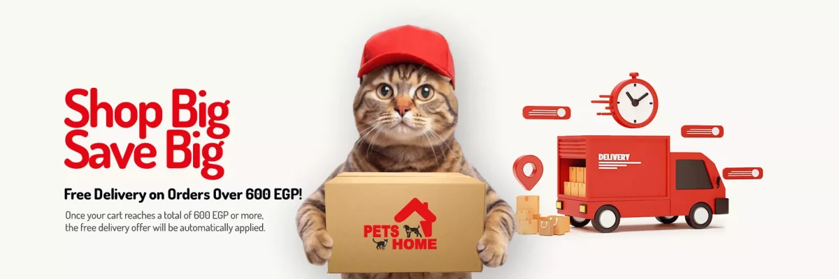 delivery slide 1 1200x400 1