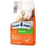 1761651827_kitten